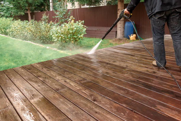 Best Driveway Pressure Washing  in Greensboro, MD